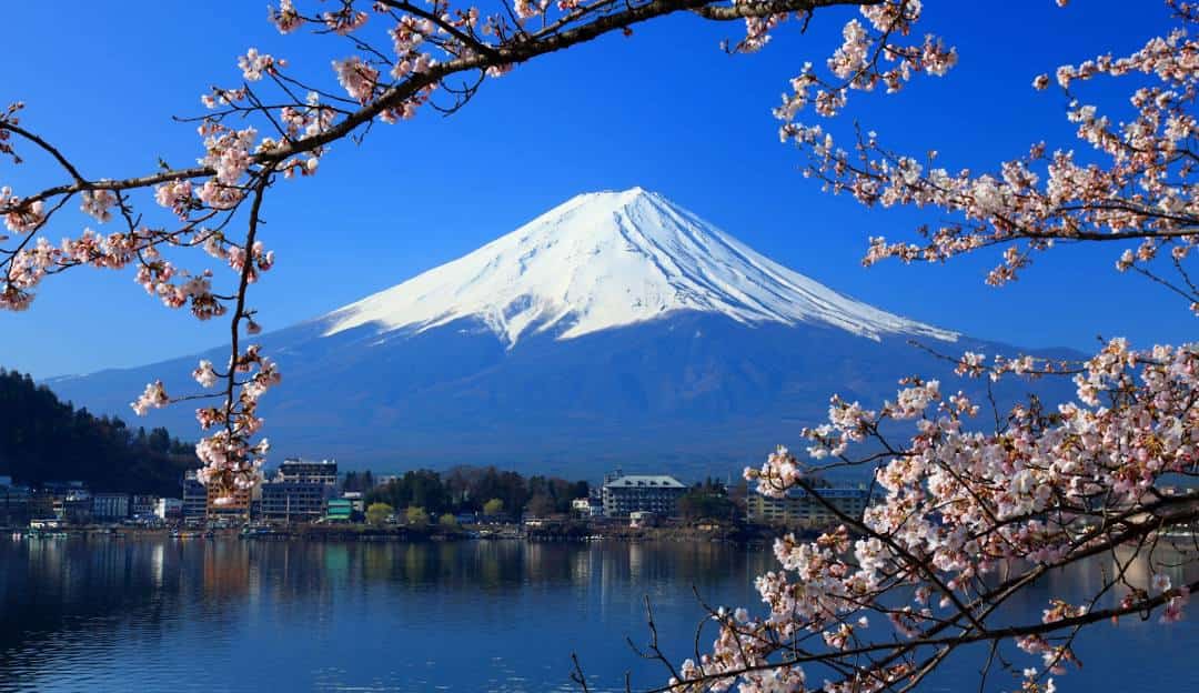Japan Visit Visa